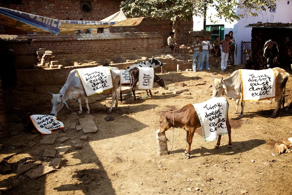 Cows in a courtyard wearing cloths that read Time does not exist, clocks exist.
